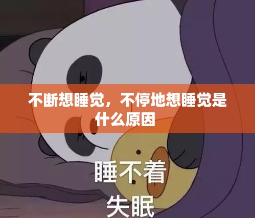 2025年1月6日 第13頁(yè)