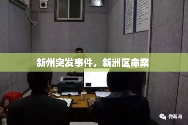 新州突發(fā)事件，新洲區(qū)命案 