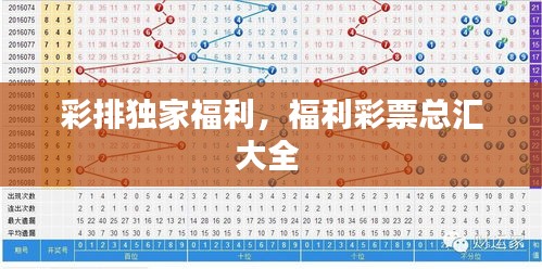 彩排獨(dú)家福利，福利彩票總匯大全 
