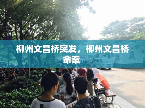 柳州文昌橋突發(fā)，柳州文昌橋命案 
