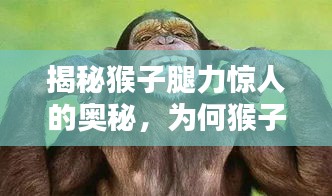 揭秘猴子腿力驚人的奧秘，為何猴子腿能擰不斷？