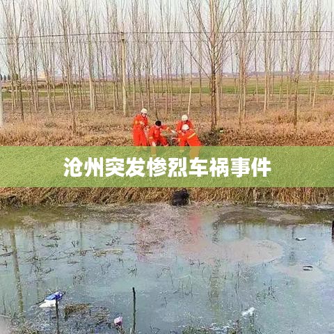 滄州突發(fā)慘烈車禍事件