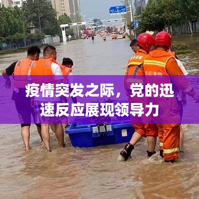 疫情突發(fā)之際，黨的迅速反應(yīng)展現(xiàn)領(lǐng)導力