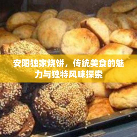 安陽(yáng)獨(dú)家燒餅，傳統(tǒng)美食的魅力與獨(dú)特風(fēng)味探索
