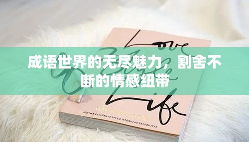 成語(yǔ)世界的無盡魅力，割舍不斷的情感紐帶