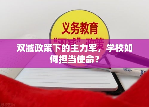 雙減政策下的主力軍，學(xué)校如何擔(dān)當(dāng)使命？