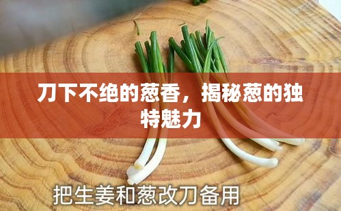 刀下不絕的蔥香，揭秘蔥的獨特魅力