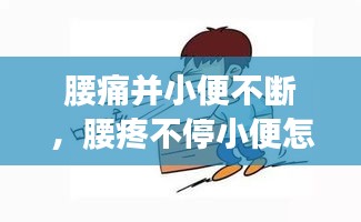 腰痛并小便不斷，腰疼不停小便怎么回事 