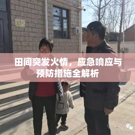 田間突發(fā)火情，應(yīng)急響應(yīng)與預(yù)防措施全解析