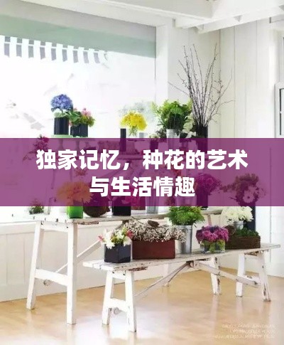 獨(dú)家記憶，種花的藝術(shù)與生活情趣
