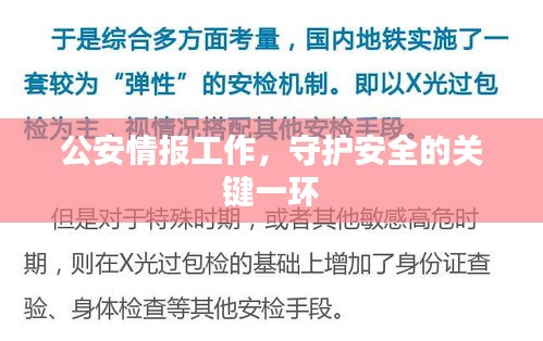公安情報(bào)工作，守護(hù)安全的關(guān)鍵一環(huán)