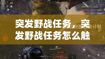 突發(fā)野戰(zhàn)任務(wù)，突發(fā)野戰(zhàn)任務(wù)怎么觸發(fā) 