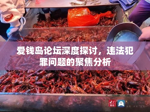 愛錢島論壇深度探討，違法犯罪問題的聚焦分析