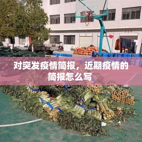 對突發(fā)疫情簡報，近期疫情的簡報怎么寫 
