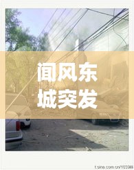 聞風(fēng)東城突發(fā)，聞風(fēng)東城突發(fā)疫情事件 