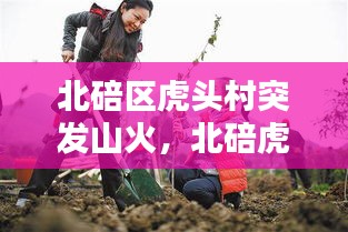 北碚區(qū)虎頭村突發(fā)山火，北碚虎頭山林果園怎么樣 