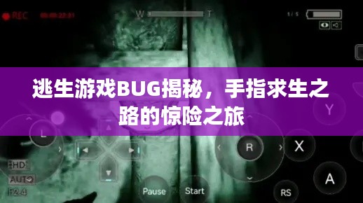 逃生游戲BUG揭秘，手指求生之路的驚險之旅