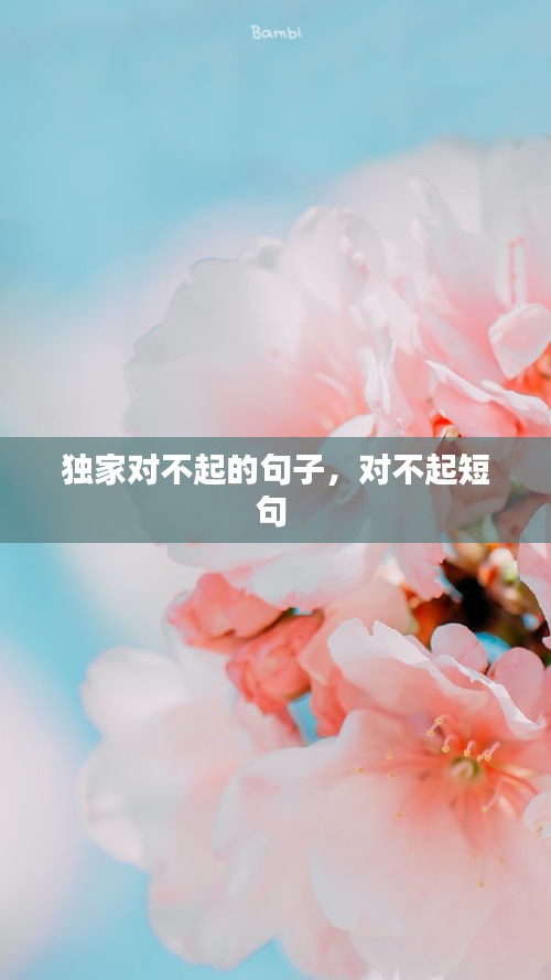 獨(dú)家對(duì)不起的句子，對(duì)不起短句 