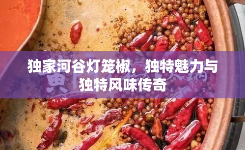 獨(dú)家河谷燈籠椒，獨(dú)特魅力與獨(dú)特風(fēng)味傳奇