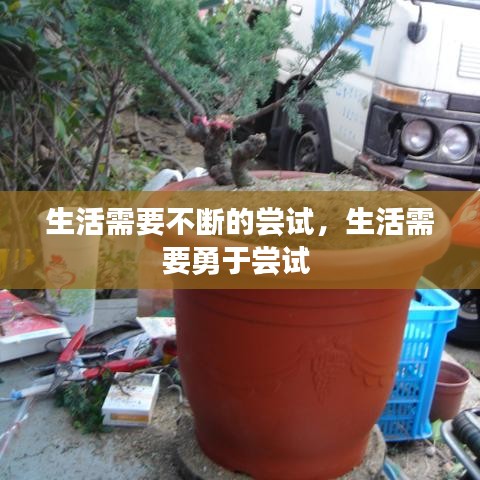2025年1月7日 第5頁(yè)