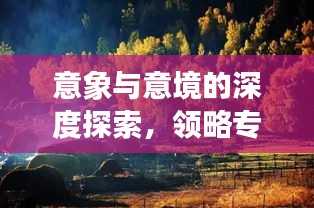 意象與意境的深度探索，領(lǐng)略專題魅力