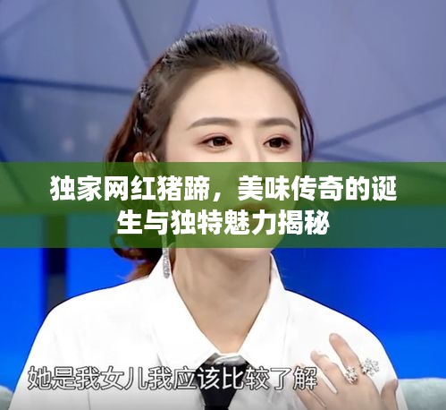 獨(dú)家網(wǎng)紅豬蹄，美味傳奇的誕生與獨(dú)特魅力揭秘