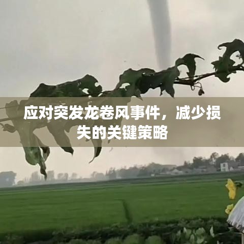 應(yīng)對(duì)突發(fā)龍卷風(fēng)事件，減少損失的關(guān)鍵策略