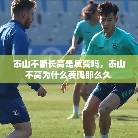 泰山不斷長高是質(zhì)變嗎，泰山不高為什么要爬那么久 