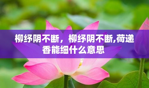 柳紓陰不斷，柳紓陰不斷,荷遞香能細什么意思 