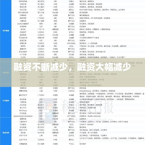 融資不斷減少，融資大幅減少 