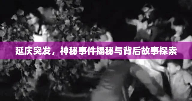 延慶突發(fā)，神秘事件揭秘與背后故事探索