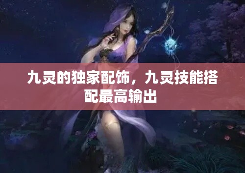 九靈的獨家配飾，九靈技能搭配最高輸出 