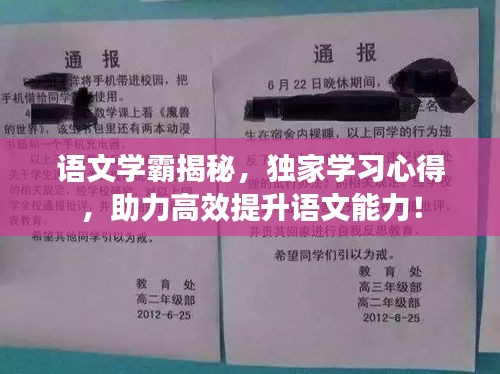 語(yǔ)文學(xué)霸揭秘，獨(dú)家學(xué)習(xí)心得，助力高效提升語(yǔ)文能力！