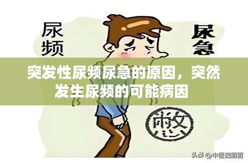 突發(fā)性尿頻尿急的原因，突然發(fā)生尿頻的可能病因 