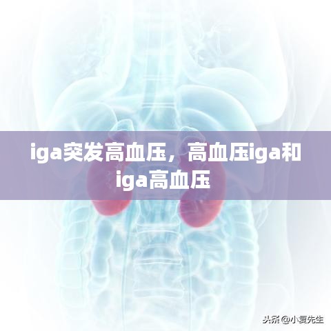 iga突發(fā)高血壓，高血壓iga和iga高血壓 