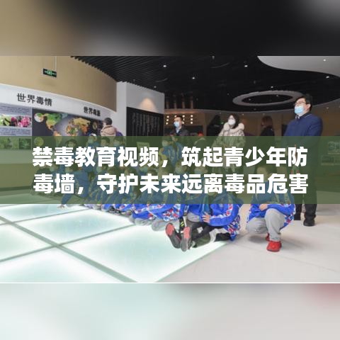 禁毒教育視頻，筑起青少年防毒墻，守護(hù)未來遠(yuǎn)離毒品危害