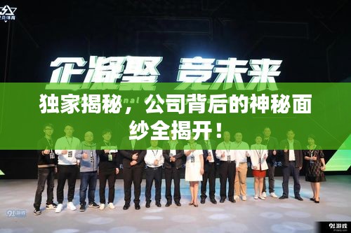 獨家揭秘，公司背后的神秘面紗全揭開！