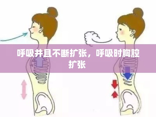 呼吸并且不斷擴(kuò)張，呼吸時(shí)胸腔擴(kuò)張 