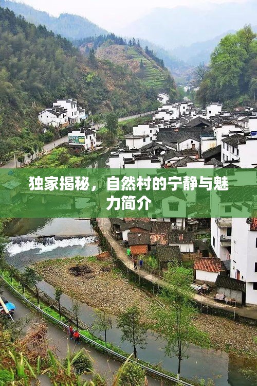 獨家揭秘，自然村的寧靜與魅力簡介