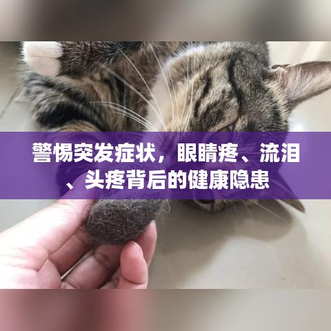 將陋就簡(jiǎn) 第2頁(yè)