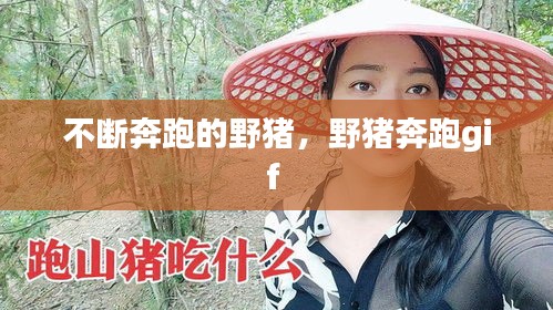 不斷奔跑的野豬，野豬奔跑gif 