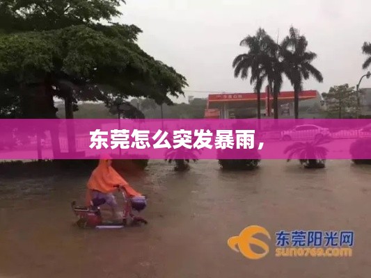東莞怎么突發(fā)暴雨， 
