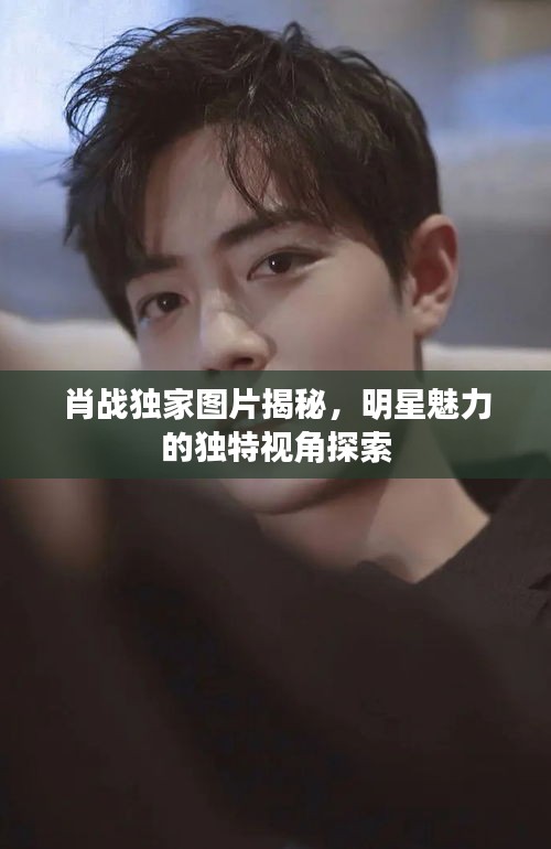 肖戰(zhàn)獨家圖片揭秘，明星魅力的獨特視角探索