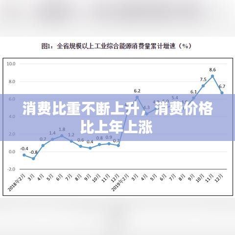 消費(fèi)比重不斷上升，消費(fèi)價(jià)格比上年上漲 