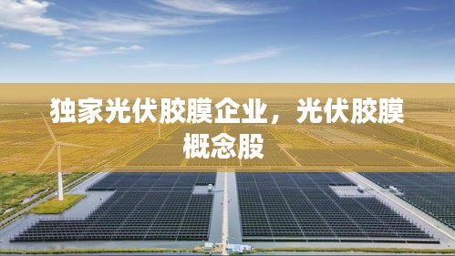 獨(dú)家光伏膠膜企業(yè)，光伏膠膜概念股 