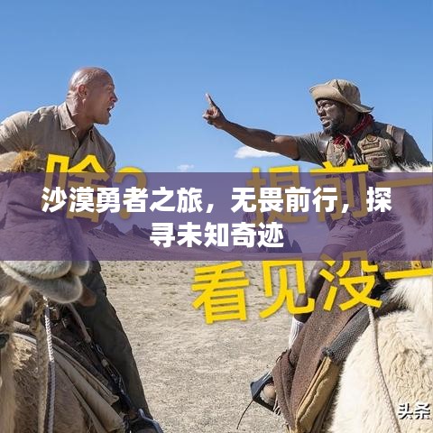 沙漠勇者之旅，無畏前行，探尋未知奇跡