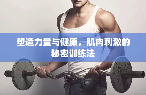 塑造力量與健康，肌肉刺激的秘密訓(xùn)練法