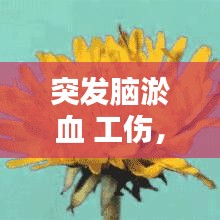 2025年1月10日 第19頁