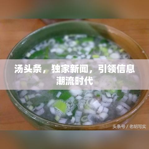 湯頭條，獨(dú)家新聞，引領(lǐng)信息潮流時(shí)代