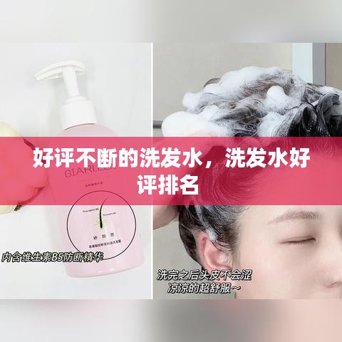 好評(píng)不斷的洗發(fā)水，洗發(fā)水好評(píng)排名 